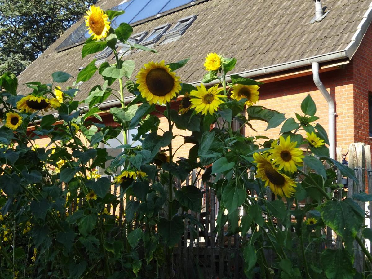 Peanuts Hostel & Meer Surendorf Exterior foto